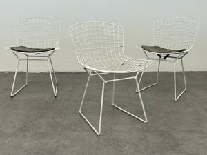 Knoll Bertoia Chairs