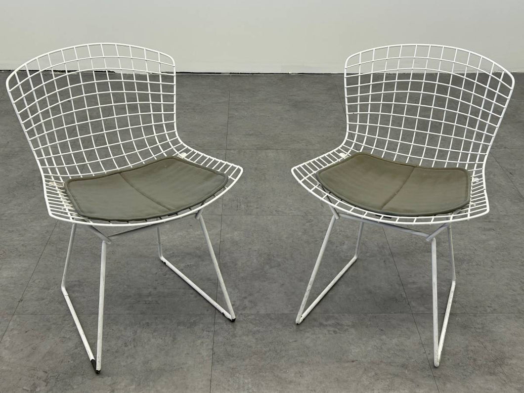 Knoll Bertoia Chairs